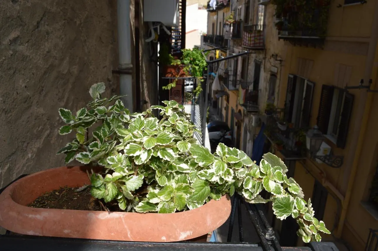 Futtitinni Home Casamia Palerme Appartement